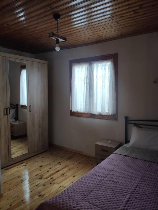 Politis' Wooden House Apartment Vasiliki  Exterior photo